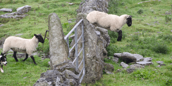 5 Actions To Help You Fall Asleep More Quickly