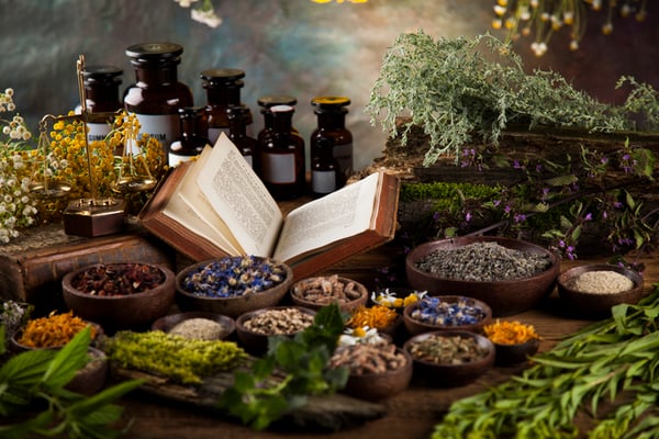 Exploring Holistic Medicine and Remedies for Aging